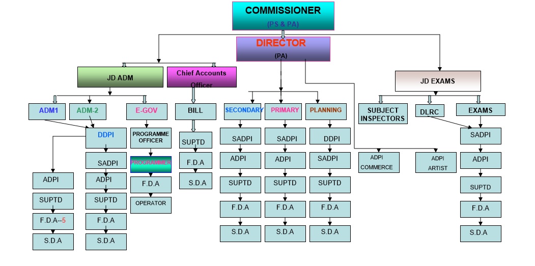 organisation_chart